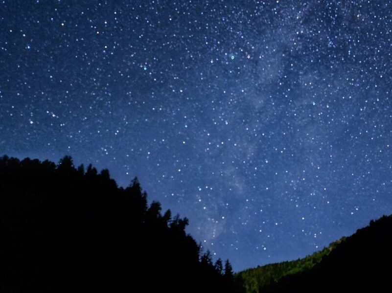 Wrongful trading and misfeasant trading – lessons from BHS